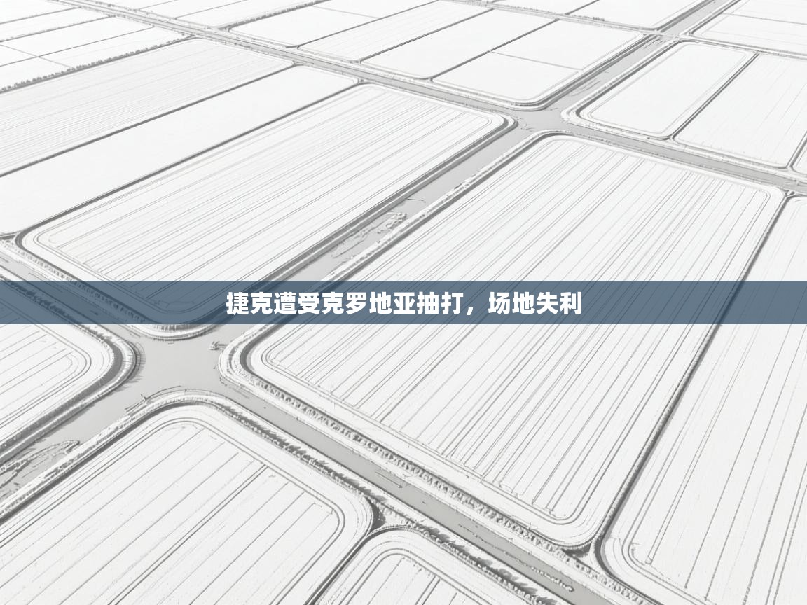 捷克遭受克罗地亚抽打,场地失利 第1张