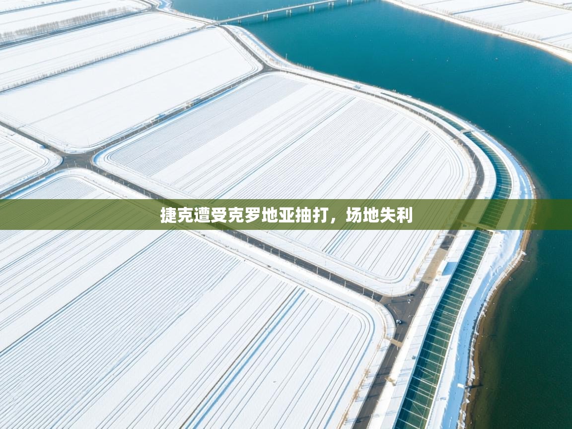 捷克遭受克罗地亚抽打,场地失利 第2张