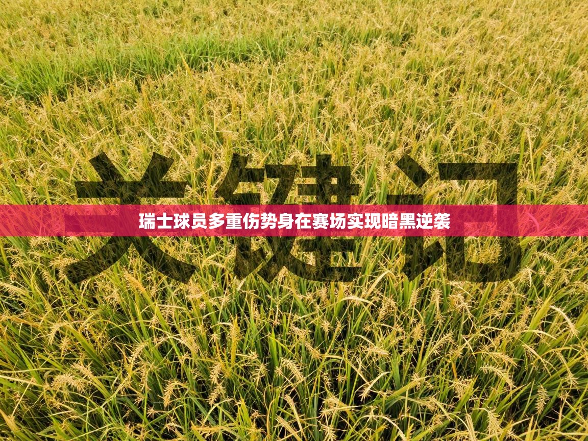 瑞士球员多重伤势身在赛场实现暗黑逆袭